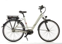 Segway E-Bike Trekking