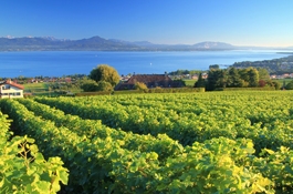 La Côte
