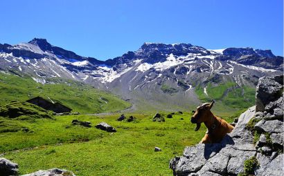 Segway Tour Adelboden «Sillerenbühl»