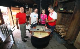 Segway Tour Interlaken «Alptour»