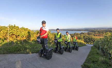 Segway Tour Murten «Mont Vully»